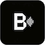 BardVoice Logo